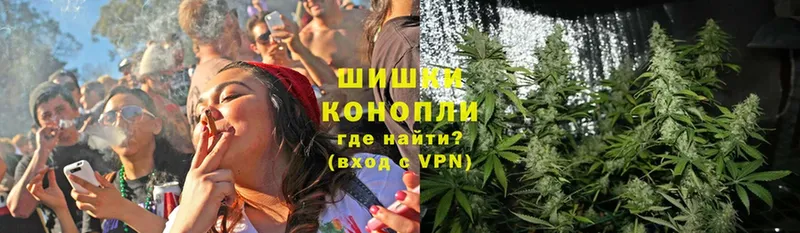 Бошки марихуана THC 21%  где найти   Алзамай 